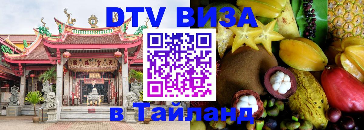 Сколько стоит DTV виза — актуальные цены, оформление даже без документов - 